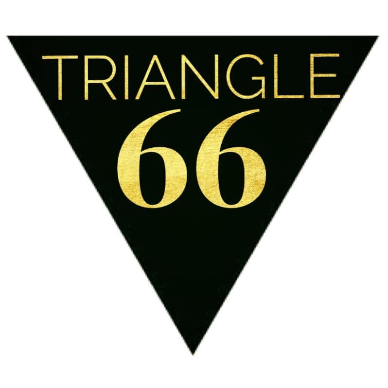 Triangle 66 logo